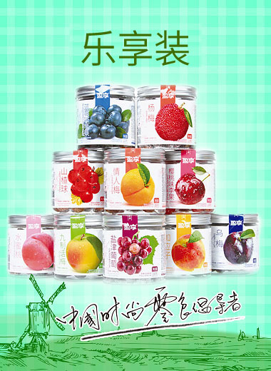 中瓶系列蜜餞果脯
